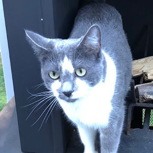 Meet your Posher, Teddy